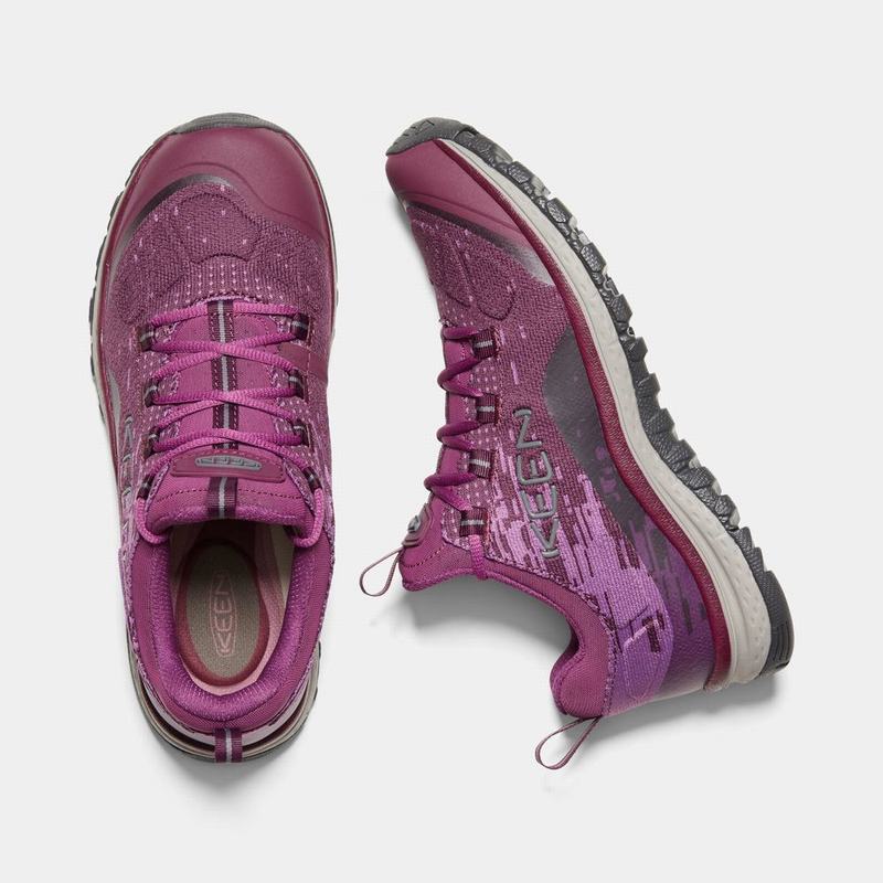 Discount Keen Terradora Evo Womens Hiking Shoes Purple (8153-GMLCF)